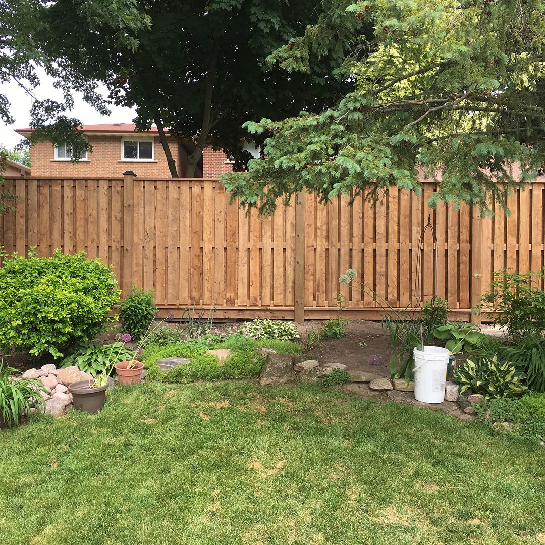Well-maintained backyard with green lawn, wooden fence, garden beds, and tall trees providing shade.