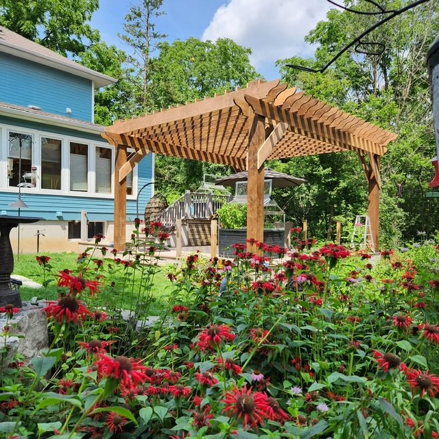 Wooden pergola in a garden with red flowers in foreground and a blue house in the background.