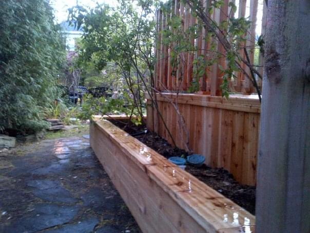 Wet wooden planter box with small trees beside a wooden fence on a stone pathway.