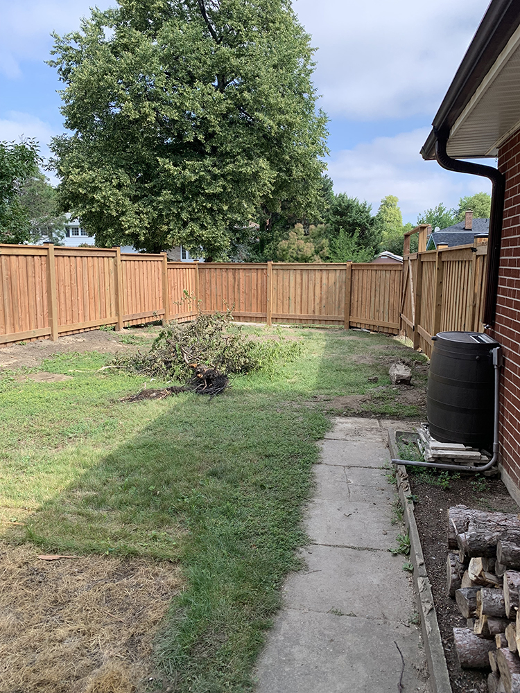Backyard with wooden fence, concrete path, chopped tree branches, and stacked firewood near a brick house.